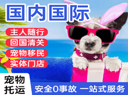 上海浦东机场快递国际宠物托运 【国